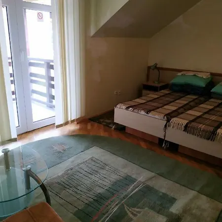 Hotel Zviazkivec *