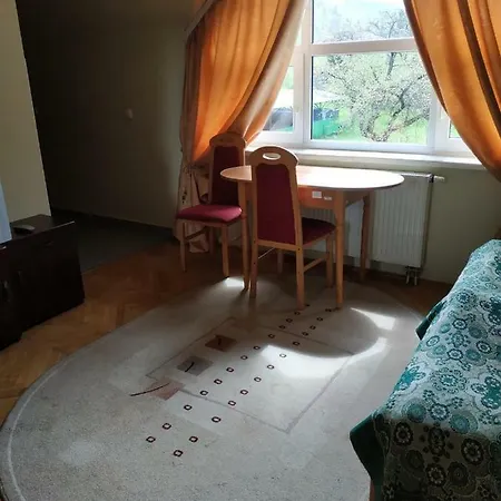 Zviazkivec Hotel Podgorodishche